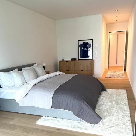 Lakefront Lux Modern Living Zürich